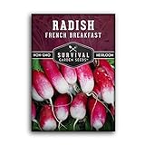 Survival Garden Seeds - French Breakfast Radish Seed for Planting - Pack with Instructions to Plant and Grow Long Radishes to Eat in Your Home Vegetable Garden - Non-GMO Heirloom Variety Photo, bestseller 2024-2023 new, best price $4.99 review