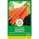 Semillas ecológicas de Zanahoria Nantesa 5 Vergea Foto, éxito de ventas 2024-2023 nuevo, mejor precio 1,85 € revisión