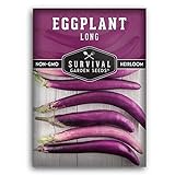 Survival Garden Seeds - Long Purple Eggplant Seed for Planting - Packet with Instructions to Plant and Grow Skinny Italian Aubergines in Your Home Vegetable Garden - Non-GMO Heirloom Variety Photo, bestseller 2024-2023 new, best price $4.99 review