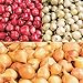 Photo Red,Yellow,White or Mix Onion Sets (40 bulbs) Garden Vegetable(Red) new bestseller 2024-2023