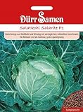 Dürr Samen 1153 Salatkohl Salarite F1 (Kohlsamen) Foto, Bestseller 2024-2023 neu, bester Preis 4,11 € Rezension