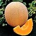 Photo Park Seed Hale's Best Organic Melon Seeds Delicious Cantaloupe Certified Organic Thick Flesh, Sweet Juicy Flavor, Pack of 20 Seeds new bestseller 2024-2023