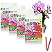 Photo com-four® 80x Bâtonnets d'engrais pour orchidées - Engrais équilibré pour orchidées pour Une Floraison éclatante. nouveau best-seller 2022-2021