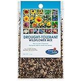 Drought Resistant Tolerant Wildflower Seeds Open-Pollinated Bulk Flower Seed Mix for Beautiful Perennial, Annual Garden Flowers - No Fillers - 1 oz Packet Photo, bestseller 2024-2023 new, best price $9.69 review