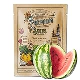Watermelon Seeds, Crimson Sweet Variety | 60+ Non-GMO, Heirloom Watermelon Seeds | Premium Home Gardening Melons Photo, bestseller 2024-2023 new, best price $4.75 review
