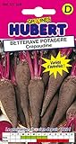 Graines de Betterave Potagere Crapaudine - 4 grammes Photo, best-seller 2024-2023 nouveau, meilleur prix 4,65 € examen