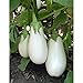 Photo White Star Eggplant Seeds(Hybrid) Seeds (40 Seed Pack) new bestseller 2024-2023