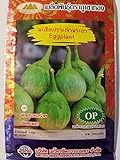 Golden Mountain Thai Light Green Round Medium Eggplant Seeds Photo, bestseller 2024-2023 new, best price $6.99 review