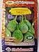Photo Golden Mountain Thai Light Green Round Medium Eggplant Seeds new bestseller 2024-2023