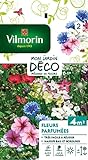 Vilmorin 5862942 Fleur parfumée, Multicolore, 90 x 2 x 160 cm Photo, best-seller 2024-2023 nouveau, meilleur prix 4,50 € examen