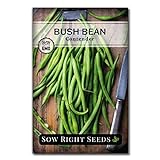 Sow Right Seeds - Contender Green Bean Seed for Planting - Non-GMO Heirloom Packet with Instructions to Plant a Home Vegetable Garden Photo, bestseller 2024-2023 new, best price $5.49 review