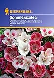 Sperli Blumensamen Sommerazalee Godetia Mischung, grün Foto, Bestseller 2024-2023 neu, bester Preis 2,88 € (96,00 € / 100 g) Rezension
