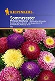 Sperli Blumensamen Prinzeß-Aster Callistephus Mischung, grün Foto, Bestseller 2024-2023 neu, bester Preis 2,01 € Rezension