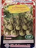 Golden Mountain Thai Mini Round Eggplant Seeds Photo, bestseller 2024-2023 new, best price $6.99 review