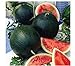 Photo Watermelon, Black Diamond, Heirloom, 25 Seeds, Super Sweet Round Melon new bestseller 2024-2023