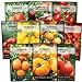 Photo Sow Right Seeds - Tomato Seed Collection for Planting - 10 Varieties with Many Sizes, Shapes, and Colors - Non-GMO Heirloom Packets with Instructions for Growing a Home Vegetable Garden - Great Gift new bestseller 2024-2023