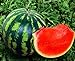 Photo Seeds4planting - Seeds Watermelon Crimson Sweet Giant Heirloom Vegetable Non GMO new bestseller 2024-2023