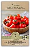 Gaea's Blessing Seeds - Tomato Seeds - Small Red Cherry Heirloom - Non-GMO Seeds with Easy to Follow Planting Instructions - Open-Pollinated 92% Germination Rate Photo, bestseller 2024-2023 new, best price $5.99 review