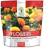 African Marigold Seeds Crackerjack Mix - Bulk 1 Ounce Packet - Over 10,000 Seeds - Huge Orange and Yellow Blooms Photo, bestseller 2024-2023 new, best price $7.97 review