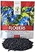 Photo Morning Glory Seeds Heavenly Blue - Large 1 Ounce Packet - Over 1,000 Flower Seeds new bestseller 2024-2023