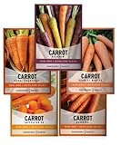 Carrot Seeds for Planting Home Garden - 5 Variety Pack Rainbow, Imperator 58, Scarlet Nantes, Bambino and Royal Chantenay Great for Spring, Summer, Fall, Heirloom Carrot Seeds by Gardeners Basics Photo, bestseller 2024-2023 new, best price $10.95 review