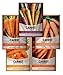 Photo Carrot Seeds for Planting Home Garden - 5 Variety Pack Rainbow, Imperator 58, Scarlet Nantes, Bambino and Royal Chantenay Great for Spring, Summer, Fall, Heirloom Carrot Seeds by Gardeners Basics new bestseller 2024-2023