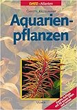 Aquarienpflanzen Foto, Bestseller 2024-2023 neu, bester Preis 69,95 € Rezension