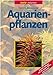 Foto Aquarienpflanzen neu Bestseller 2024-2023
