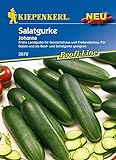 Gurke Salatgurke Johanna Foto, Bestseller 2024-2023 neu, bester Preis 2,82 € Rezension