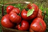 75+ Pink Brandywine Heirloom Tomato Seeds Photo, bestseller 2024-2023 new, best price $4.49 review