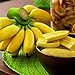 Foto Benoon Bananensamen, 1 Beutel Bananensamen Süße Samen Mit Hoher Keimrate Frische Pflanzensamen Für Den Balkon Bananen neu Bestseller 2024-2023