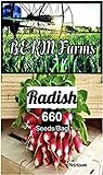 Over 660 Radish Seeds for Planting-3 Grams of Heirloom & Non-GMO Seeds with Instructions to Plant The Perfect Kitchen Herb Garden, Indoor Or Outdoor. Great Gardening Gift. Microgreens. by B&KM Farms Photo, bestseller 2024-2023 new, best price $4.49 ($0.01 / Count) review