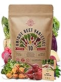 10 Rare Beet Seeds Variety Pack for Planting Indoor & Outdoors 1000+ Heirloom Non-GMO Bulk Beets Gardening Seeds: Chioggia, Detroit Dark Red, Sugar, Cylindra, Golden, Bulls Blood, White Albino & More Photo, bestseller 2024-2023 new, best price $12.99 ($1.30 / Count) review