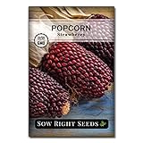 Sow Right Seeds - Strawberry Popcorn Seed for Planting - Non-GMO Heirloom Packet with Instructions to Plant a Home Vegetable Garden Photo, bestseller 2024-2023 new, best price $4.99 review