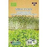 Germisem Orgánica Sprouts Mix Semillas 20 g (ECBIO1901) Foto, éxito de ventas 2024-2023 nuevo, mejor precio 3,99 € revisión