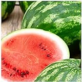 25 Cal Sweet Watermelon Seeds | Non-GMO | Heirloom | Instant Latch Garden Seeds Photo, bestseller 2024-2023 new, best price $5.95 review