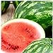 Photo 25 Cal Sweet Watermelon Seeds | Non-GMO | Heirloom | Instant Latch Garden Seeds new bestseller 2024-2023