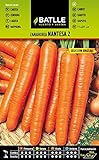 Zanahoria NANTESA 2 S. URGELBA Foto, éxito de ventas 2024-2023 nuevo, mejor precio 1,60 € revisión