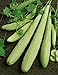 Photo David's Garden Seeds Cucumber Slicing Armenian Yard Long 9184 (Green) 25 Non-GMO, Heirloom Seeds new bestseller 2024-2023