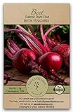 Gaea's Blessing Seeds - Beet Seeds - Detroit Dark Red Non-GMO Seeds with Easy to Follow Planting Instructions - Heirloom 92% Germination Rate 3.0g Photo, bestseller 2024-2023 new, best price $4.99 review