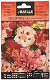 Godecia doble flor de Azalea vda. Foto, éxito de ventas 2024-2023 nuevo, mejor precio 1,88 € revisión