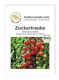BIO-Tomatensamen Zuckertraube Cocktailtomate Portion Foto, Bestseller 2024-2023 neu, bester Preis 2,95 € Rezension