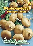 N.L. Chrestensen 433311 Zwiebel Senshyu Yellow Winterzwiebeln (Zwiebelsamen) Foto, Bestseller 2024-2023 neu, bester Preis 3,53 € Rezension