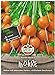 Foto Sperli Premium Möhren Samen Pariser Markt 5 ; kugelförmige Karotte ; runde Karotten Samen neu Bestseller 2024-2023