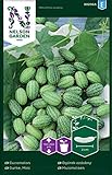Mexikanische Minigurken Samen - Nelson Garden Gemüsesamen - Snackgurken Samen Saatgut (10 Stück) (Gurke, Mini, Einzelpackung) Foto, Bestseller 2024-2023 neu, bester Preis 4,45 € Rezension