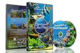 Aquarien DVD - 2 DVD Set Aquarien und Riffe des Ozeans mit farbenfrohen Korallen und Fischen Foto, Bestseller 2024-2023 neu, bester Preis 19,95 € Rezension