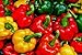 Photo Bell Pepper, California Wonder Pepper Seeds, Heirloom, 25 Seeds, Delicious Large Peppers new bestseller 2024-2023