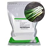 Tokyo Long White Bunching Onion Garden Seeds - 1 Oz ~8,400 Seeds - Non-GMO, Heirloom Vegetable Gardening & Micro Greens Seed Photo, bestseller 2024-2023 new, best price $15.30 review