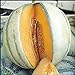 Photo Melon charentais 30 graines Il est un melon européen classique nouveau best-seller 2022-2021