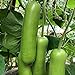 Photo S-pone 20+ Long Bottle Gourd Seeds Edible Asian Indian Opo Squash Dudi Calabash Long Melon new bestseller 2024-2023